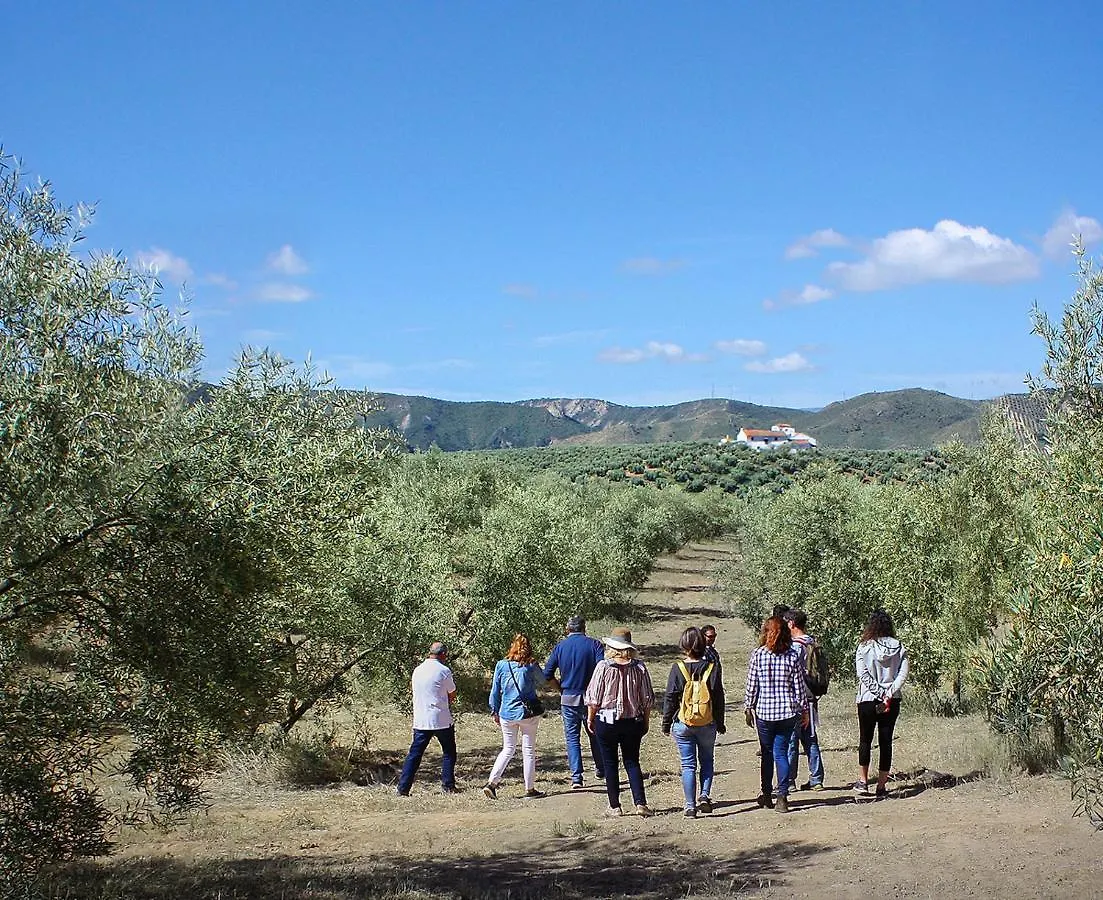Holiday home Cortijo Alzamigaja Villa Archidona