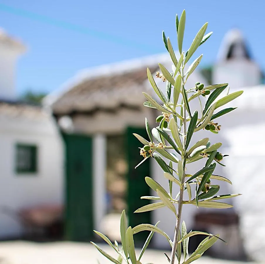 Cortijo Alzamigaja Villa Archidona Holiday home