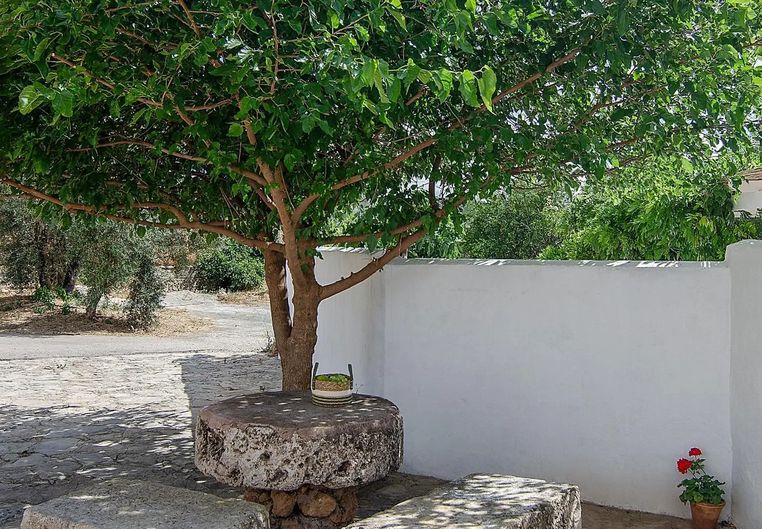 Cortijo Alzamigaja Villa Archidona Holiday home